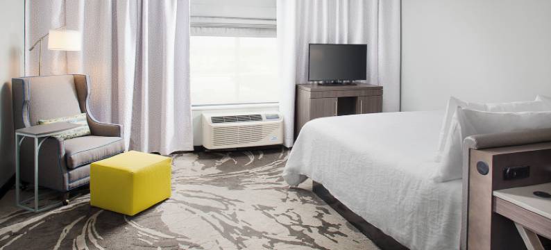 希尔顿花园旅馆-达拉斯南阿林顿(Hilton Garden Inn Dallas/Arlington South)图片