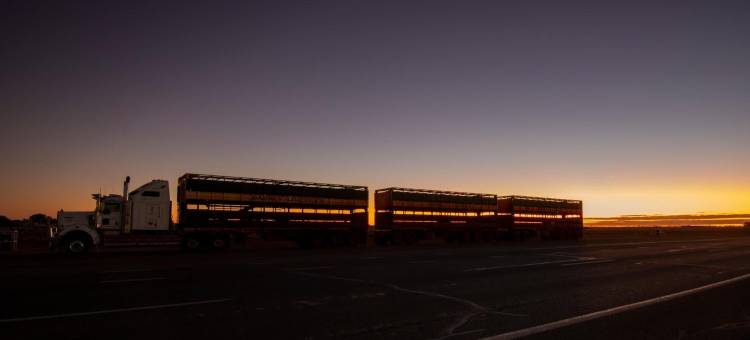 Outback Adventures Backpackers图片