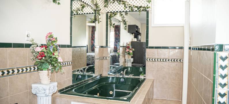 卡普里酒店和套房(Capri Inn and Suites)图片