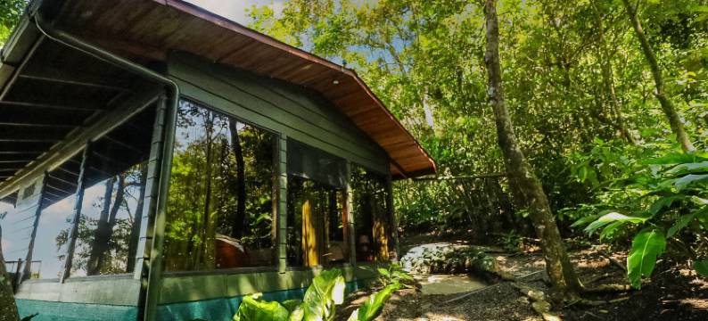 布罗梅利亚之花酒店(Hotel Flor de Bromelia)图片