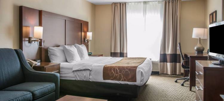 舒适套房酒店(Comfort Suites)图片