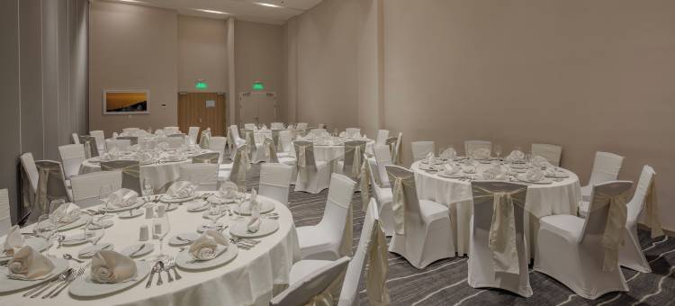 阿瓜斯卡连特斯假日酒店及套房(Holiday Inn & Suites Aguascalientes)图片