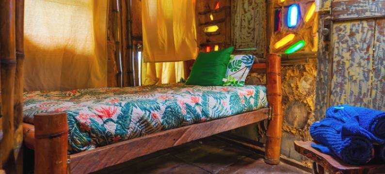 乔阿奇植物保护区(Reserva Botánica Choachí)图片