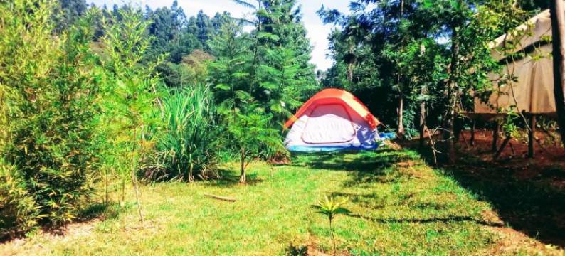 肯尼亚山河滨度假屋(Mt. Kenya Riverside Retreat)图片