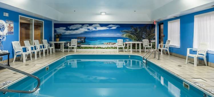 戴顿西北英格尔伍德舒适套房酒店(Comfort Inn & Suites Dayton Northwest - Englewood)图片