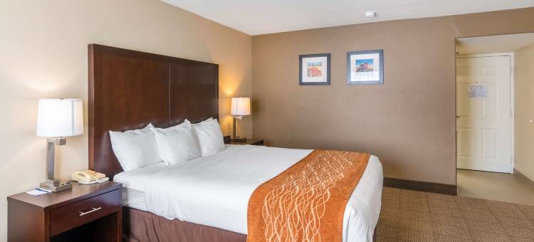 舒适套房酒店(Comfort Inn & Suites)图片