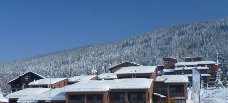 德凡坎西斯莱斯夫露康斯福特小村酒店(Village de Vacances les Flocons Verts)图片