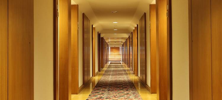 极光塔酒店(Hotel Aurora Towers)图片