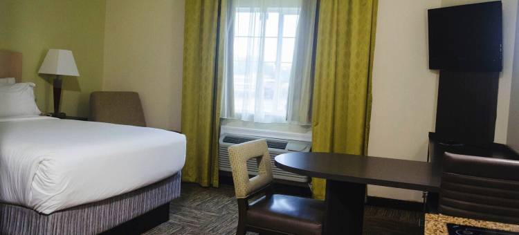 Candlewood Suites 休斯顿医疗中心 by IHG(Candlewood Suites Houston Medical Center)图片