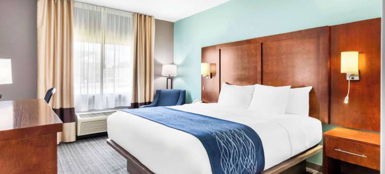 舒适酒店(Comfort Inn)图片