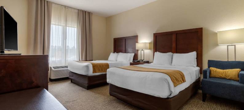 卡姆登舒适酒店及套房(Comfort Inn & Suites)图片