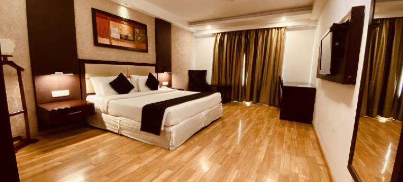 安纳亚丽景酒店(Hotel Ananya Regency)图片