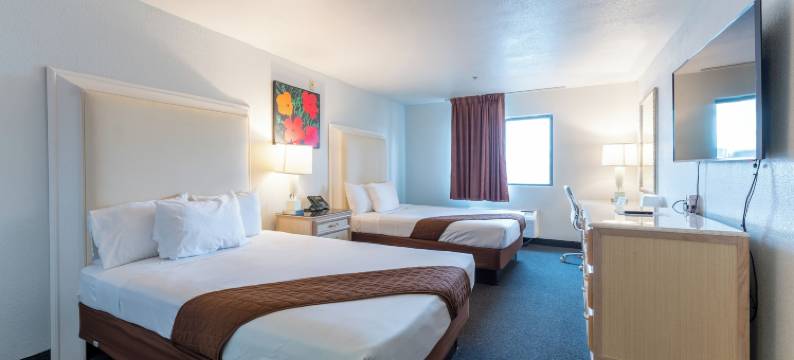 Ojos Locos的Hotel Jefe酒店(Hotel Jefe at Ojos Locos)图片