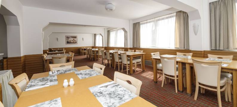 布尔诺沃罗奥雷阿酒店(Orea Hotel Voro Brno)图片