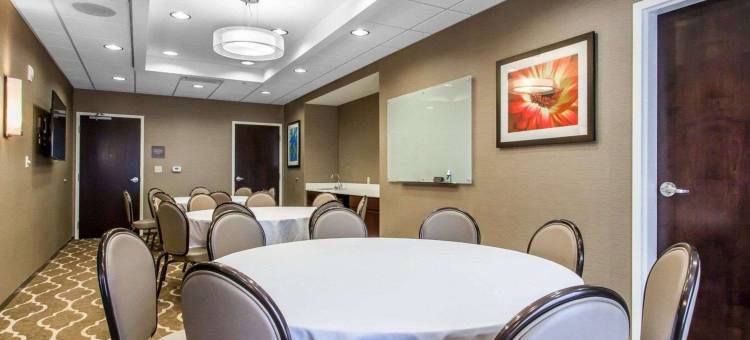 舒适套房酒店-扬斯敦北(Comfort Suites-Youngstown North)图片