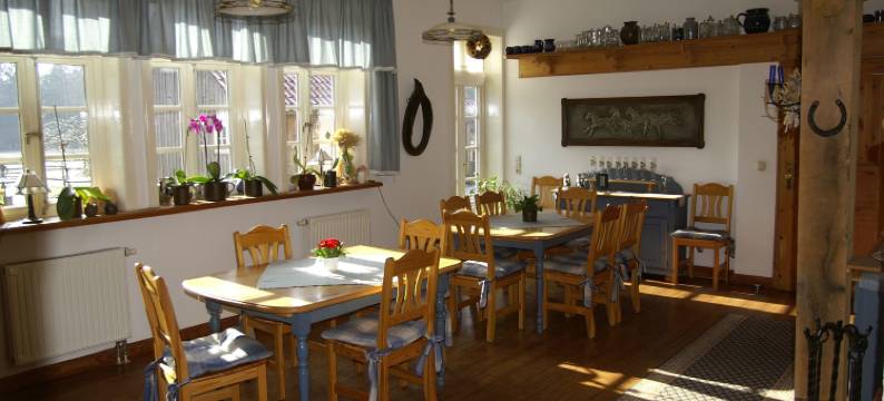 特伦泽霍夫酒店(Hotel TraumzeitHof)图片