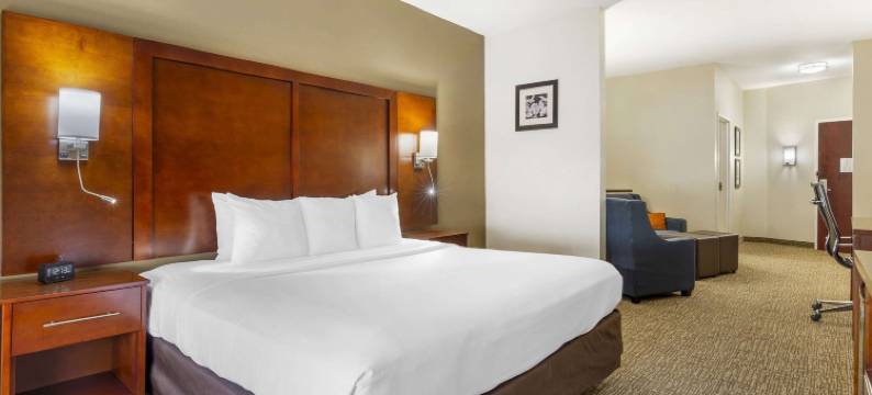 威尔逊凯-I-95富套房酒店(Comfort Suites Wilson - I - 95)图片