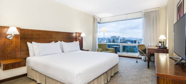 基多智选假日酒店(Holiday Inn Express Quito)图片