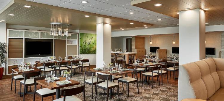 亚历山德里亚凯雷假日酒店(Holiday Inn Alexandria - Carlyle)图片