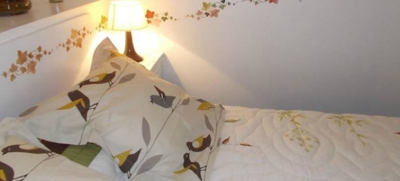 安坦 - 拉费蒙奥克塔弗酒店(A l'Antan - la Ferme d'Octave)图片