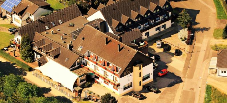 阿尔滕福斯豪斯乡村酒店(Land-Gut-Hotel Zum Alten Forsthaus - Aufladestation für Elektroautos)图片