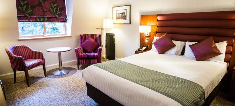 德雷顿庄园酒店(Drayton Manor Hotel)图片