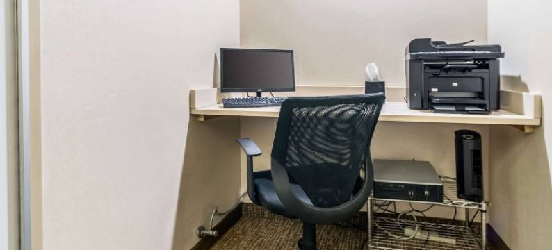 费斯特-南圣路易斯舒适酒店(Comfort Inn Festus-St Louis South)图片