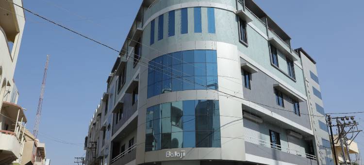 巴拉吉宫殿酒店(Hotel Balaji Palace)图片