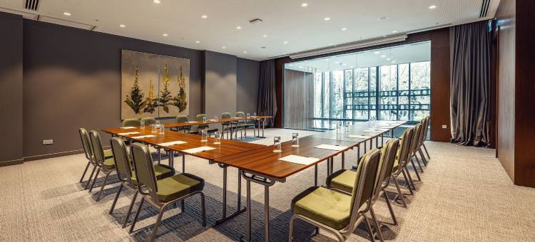 第比利斯希尔顿花园酒店(Hilton Garden Inn Tbilisi Chavchavadze)图片