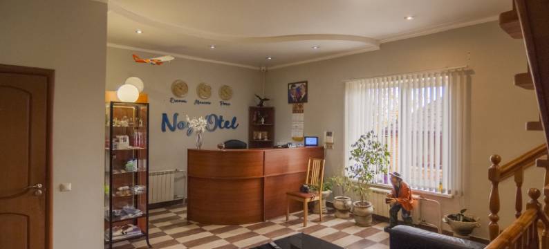 诺伊多莫杰多沃酒店(Noy Hotel Domodedovo)图片