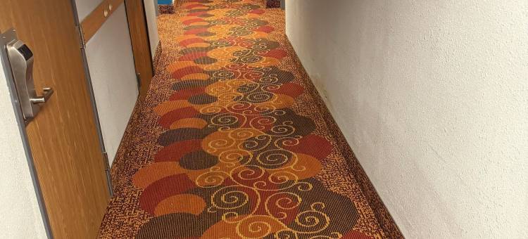 曼西波尔州立大学戴斯酒店(Days Inn by Wyndham Muncie -Ball State University)图片