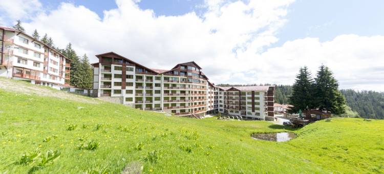 隐匿森林别墅酒店(Forest Nook Villas)图片