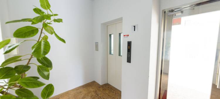 Mr.KINJO in MIHARA＜那覇市三原＞(Mr.KINJO in MIHARA)图片