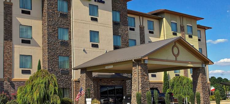 智选假日套房酒店希伯泉(Holiday Inn Express & Suites Heber Springs)图片