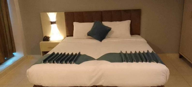 阿尔阿米尔皇宫酒店(Al-Amer Palace Hotel)图片