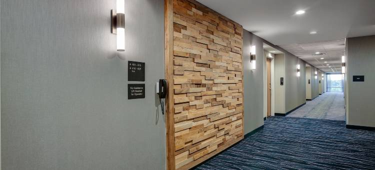 巴兹敦万豪万枫套房酒店(Fairfield Inn & Suites Bardstown)图片