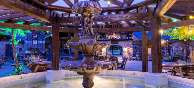 汉莎酒店(Hansa Hotel)图片