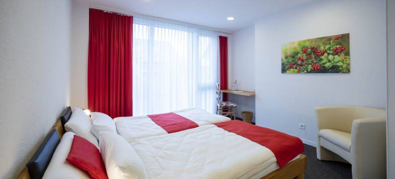 奥科森酒店(Hotel Ochsen)图片