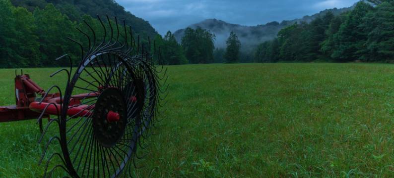 劳雷尔河俱乐部床和早餐(Laurel River Club Bed & Breakfast or Lrcbnb)图片