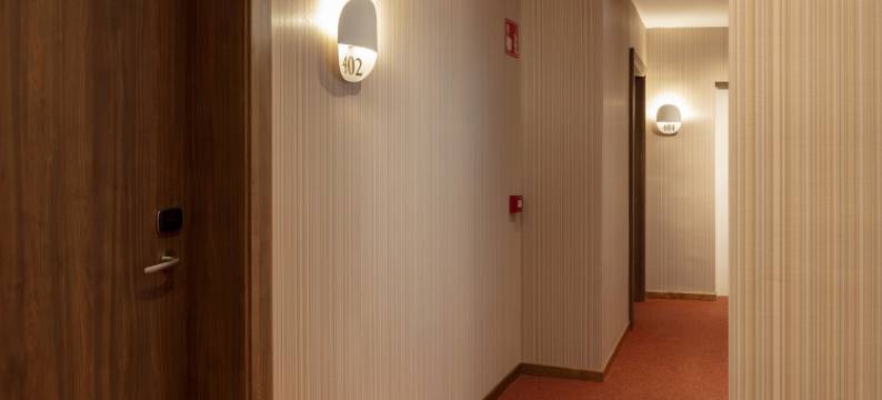 SH套房宫殿酒店(SH Suite Palace)图片