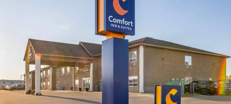 舒适酒店(Comfort Inn)图片