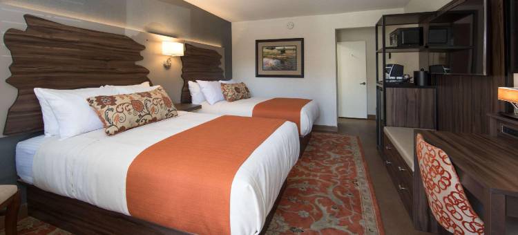 藤蔓酒店(The Vine Inn Davis)图片