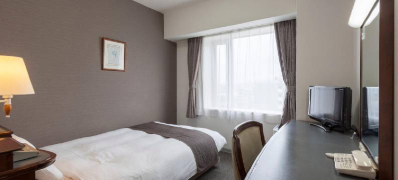 丰川舒适酒店(Comfort Hotel Toyokawa)图片