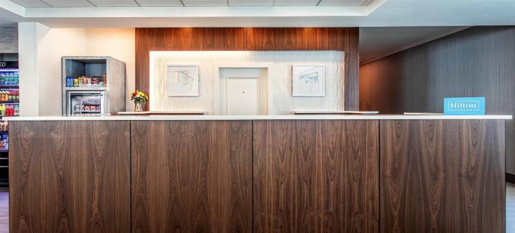 坦帕西北奥尔兹马希尔顿花园酒店(Hilton Garden Inn Tampa Northwest/Oldsmar)图片