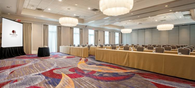 亚特兰大机场希尔顿逸林酒店(DoubleTree by Hilton Atlanta Airport)图片