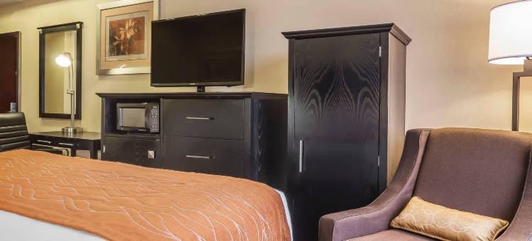拉瓜迪亚机场舒适酒店(Comfort Inn & Suites LaGuardia Airport)图片
