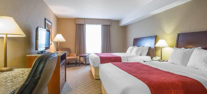 舒适酒店及套房- 艾尔德里(Comfort Inn & Suites)图片