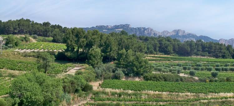 Mansion in Provence with Pool & Near Town图片