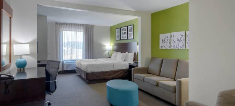 舒眠酒店及套房 - 近乔治王子堡李(Sleep Inn & Suites Prince George Near Fort Lee)图片