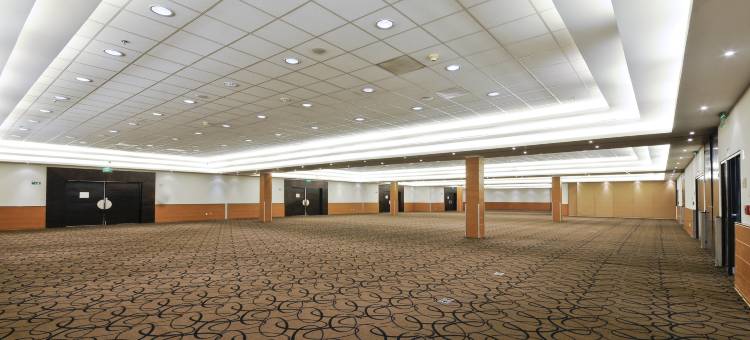 伊拉普阿托假日酒店(Holiday Inn IRAPUATO by IHG)图片